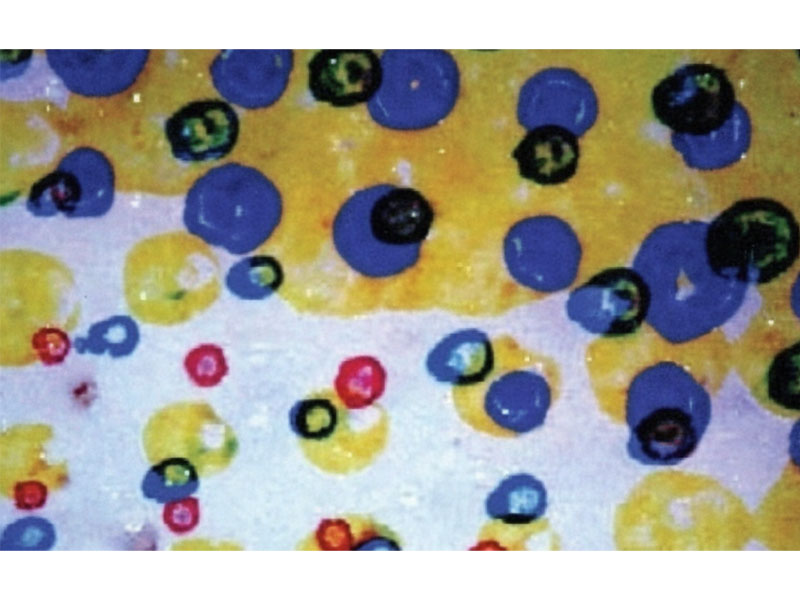 Flexo-Printing-Defects-of-Doughnuts Flexo-Printing-Defects-of-Doughnuts