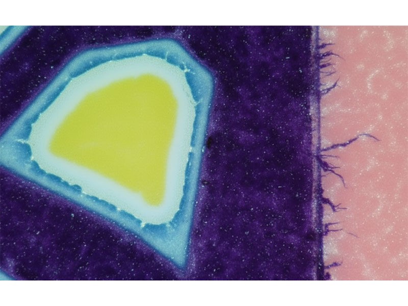 Excessive-Dot-Gain-of-Halo-Effect Excessive-Dot-Gain-of-Halo-Effect