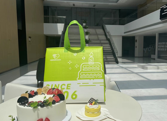 Non Woven Delivery Food Insulation Bag