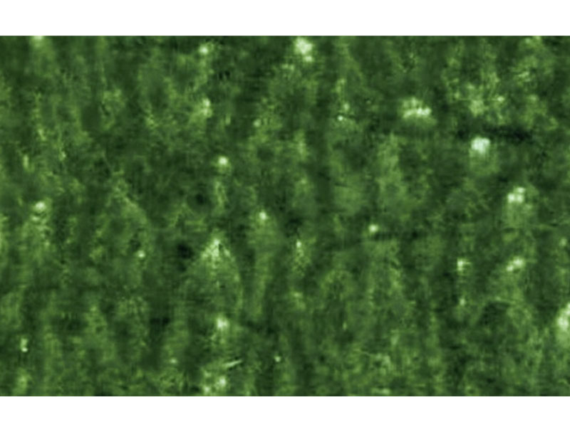 Flexo-Printing-Defects-of-Mottled Image Flexo-Printing-Defects-of-Mottled Image