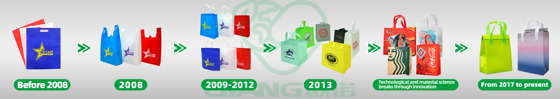 nonwoven bag evolution